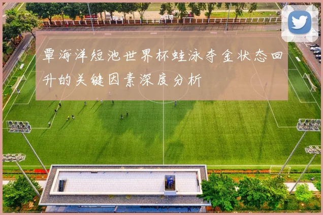 覃海洋短池世界杯蛙泳夺金状态回升的关键因素深度分析