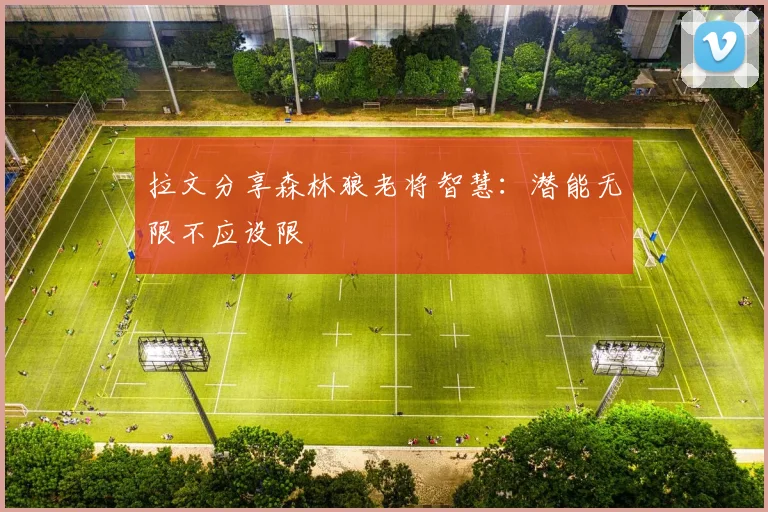 拉文分享森林狼老将智慧：潜能无限不应设限