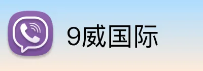 9威国际 Logo